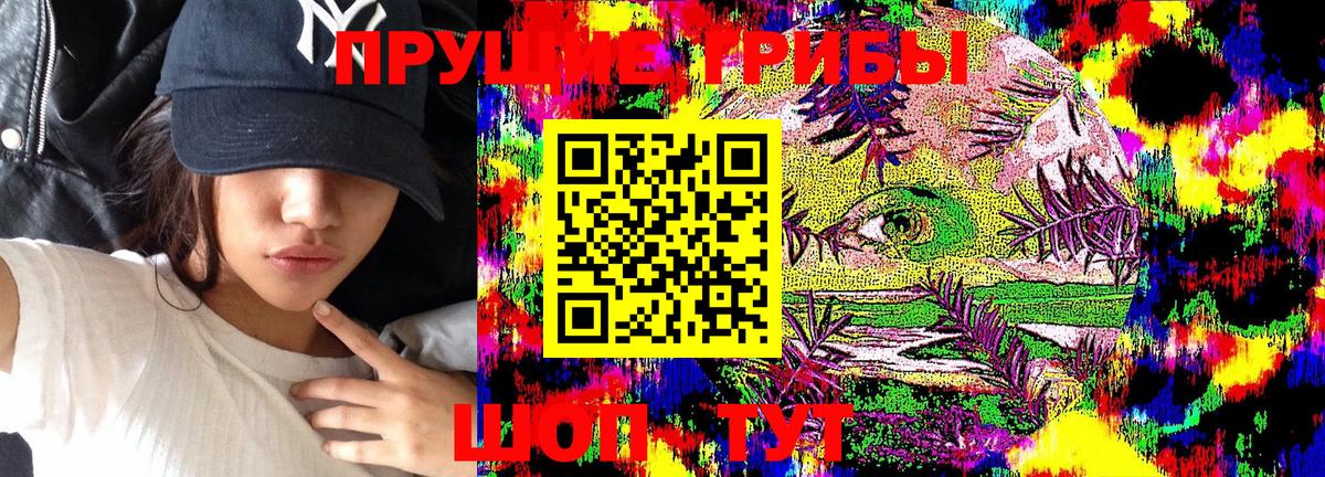 Якутск  Псилоцибиновые грибы GOLDEN TEACHER  Псилоцибиновые грибы прущие грибы  Вход с VPN 